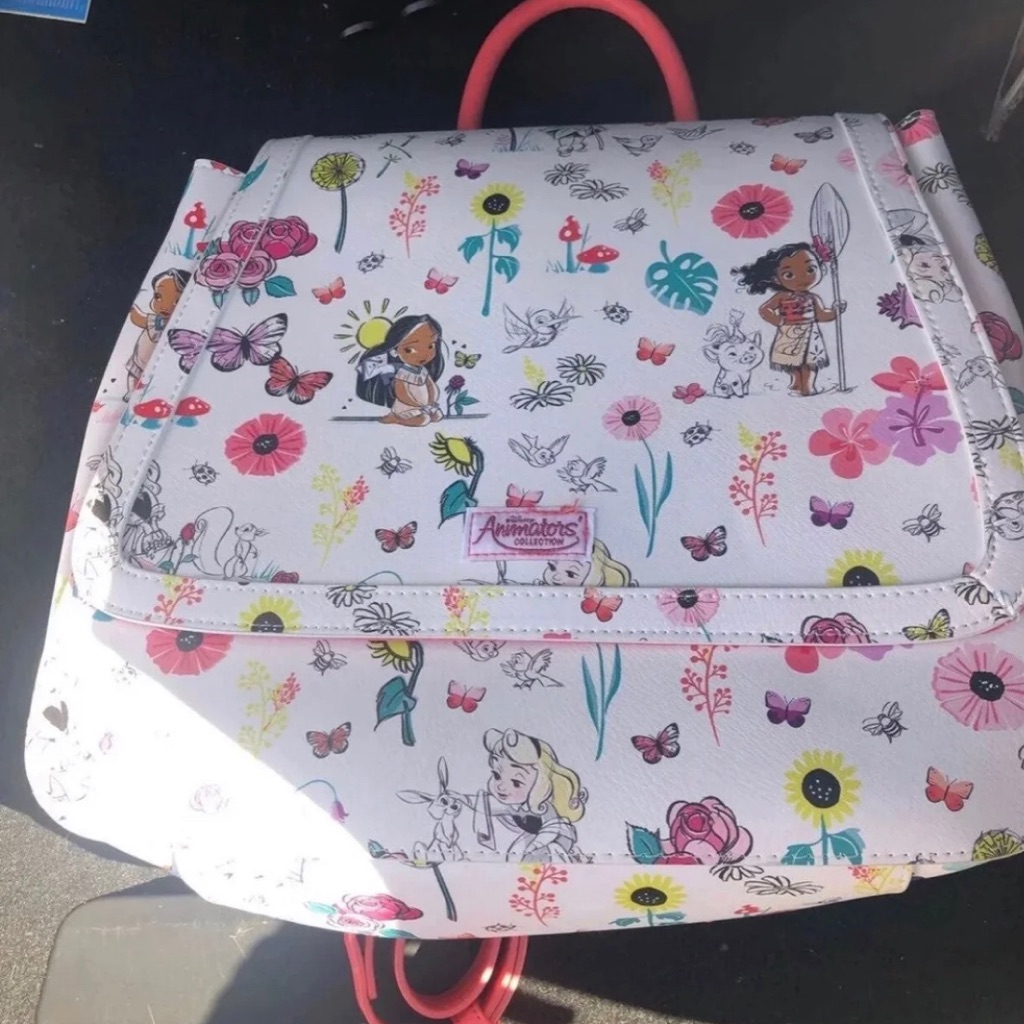 Animators Bag